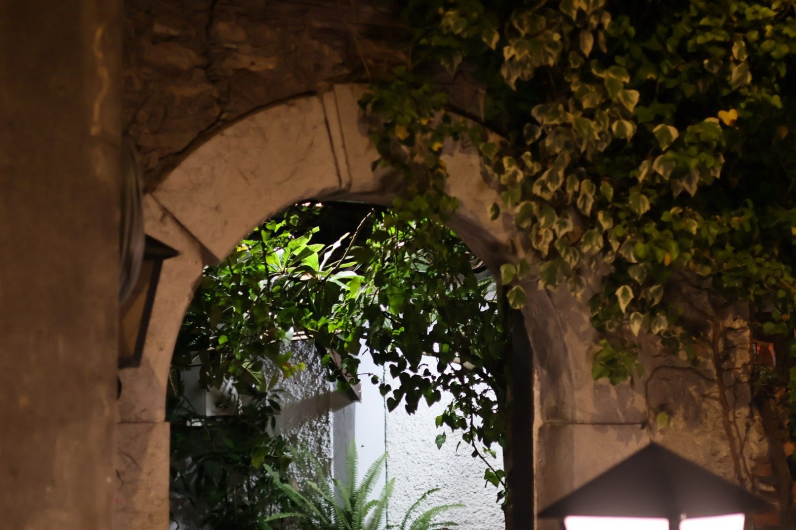 Don Pasquale